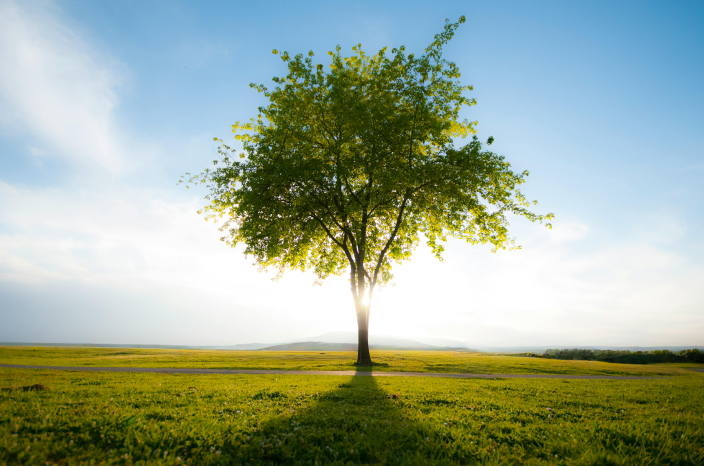 SPU vyvíja nástroj na výpočet uhlíkovej stopy pre agropotravinárske podniky